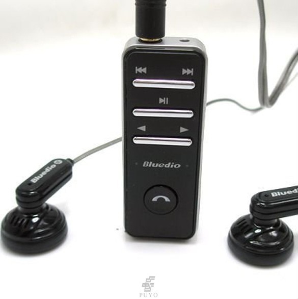 SV004091-4-PUYO